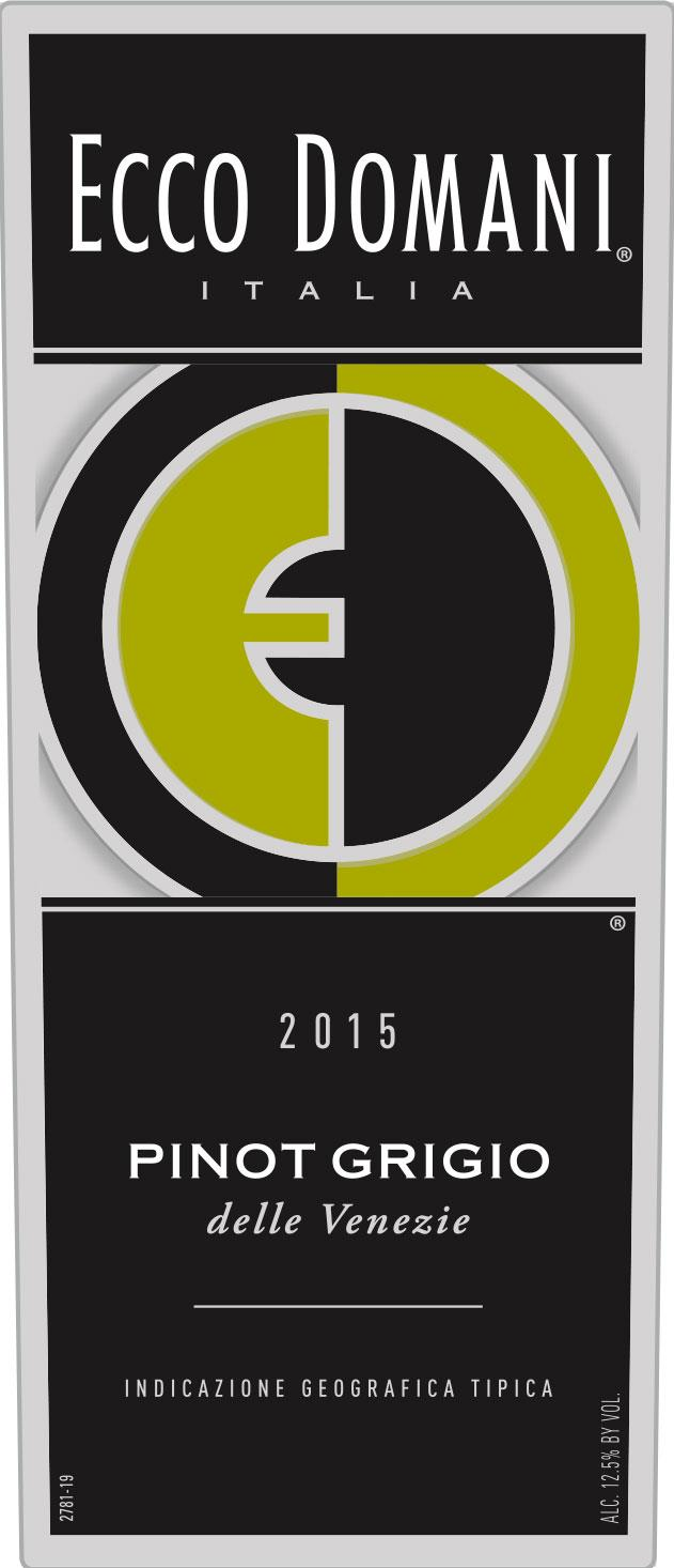 ECCO DOMANI PINOT GRIGIO 2020 750 mL