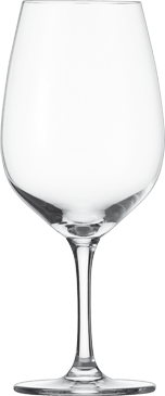 SCHOTT ZWIESEL CONGRESSO 