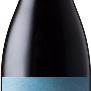 Buy Cloudline Pinot Noir 21 750ML Online -Craft City