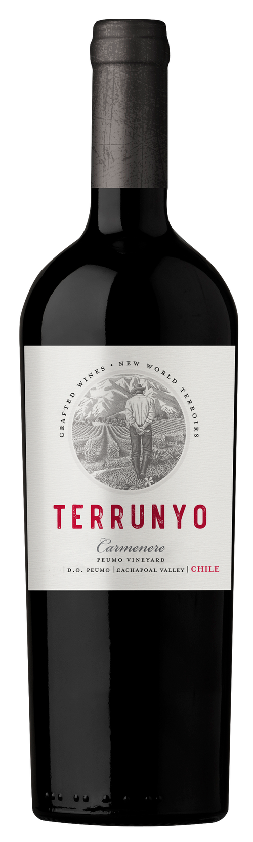 Buy Concha Y Toro Terrunyo Carmenere 750ML Online -Craft City