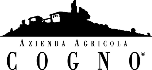 Buy Elvio Cogno Barolo Bricco Pernice 19 750ML Online -Craft City