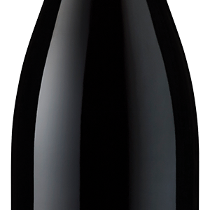 Buy Faiveley Nuits Saint George Montroziers 22 750ML Online -Craft City