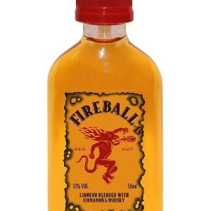 Buy Fireball Shots 10pk Online -Craft City
