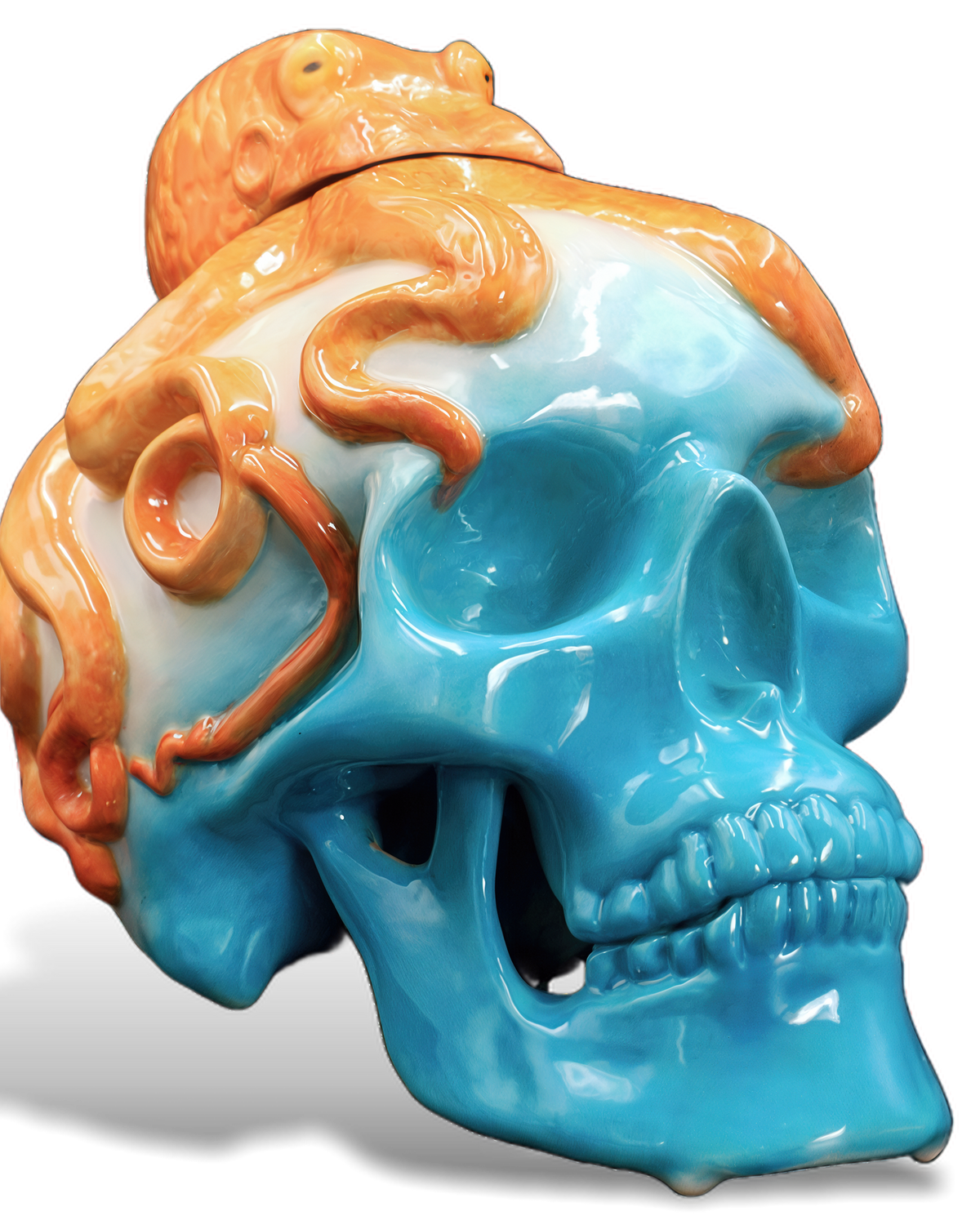 Buy Octo Blue Reposado Online -Craft City