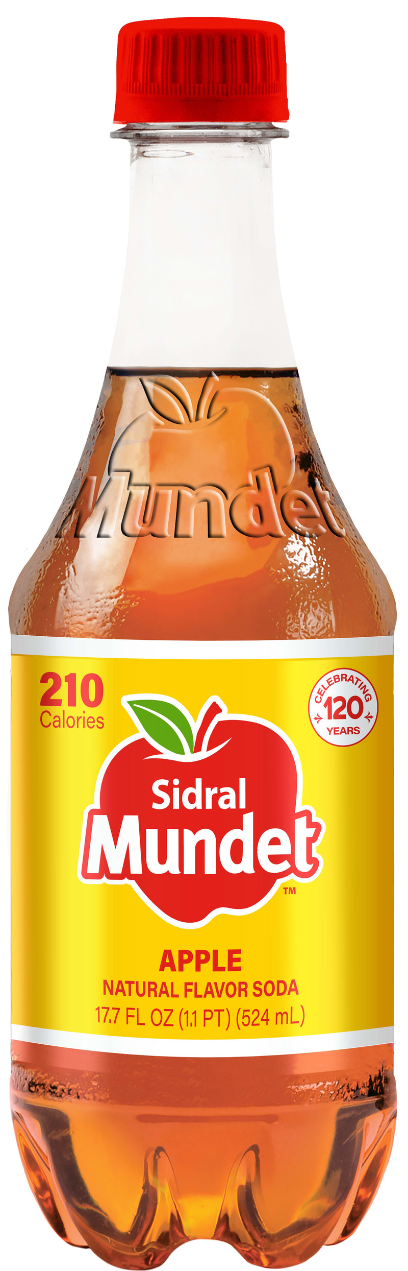 Sidral Mundet 24 Pack (524 ml Bottles)