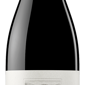Buy Torres Salmos 19 750ML Online -Craft City