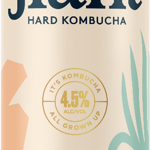 Buy Jiant Hard Kombucha Gingerly Online -Craft City