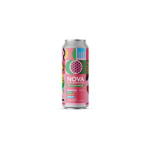 Buy Nova Kombucha Mint & Watermelon Online -Craft City